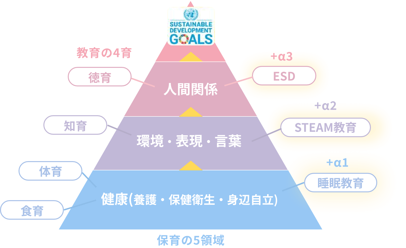 保育の5領域(人間関係、環境、表現、言葉、健康)教育の4育(徳育、知育、体育、食育)＋睡眠教育、ESD